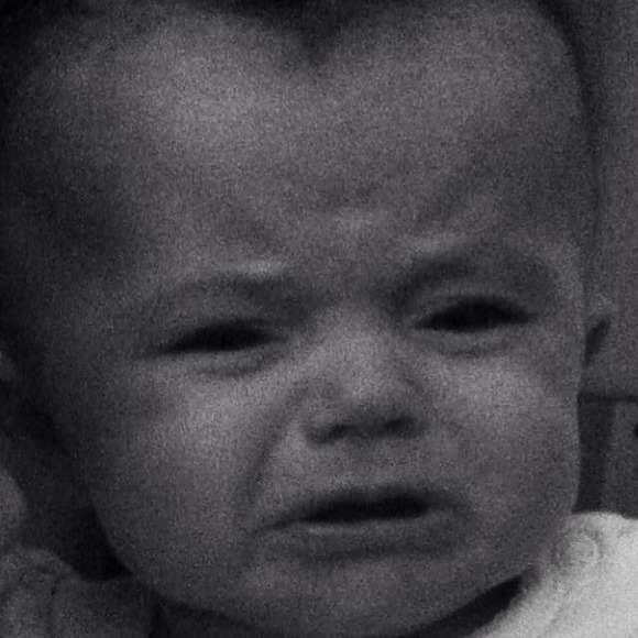 Meet your Posher, Jake - Picture 1 of 1